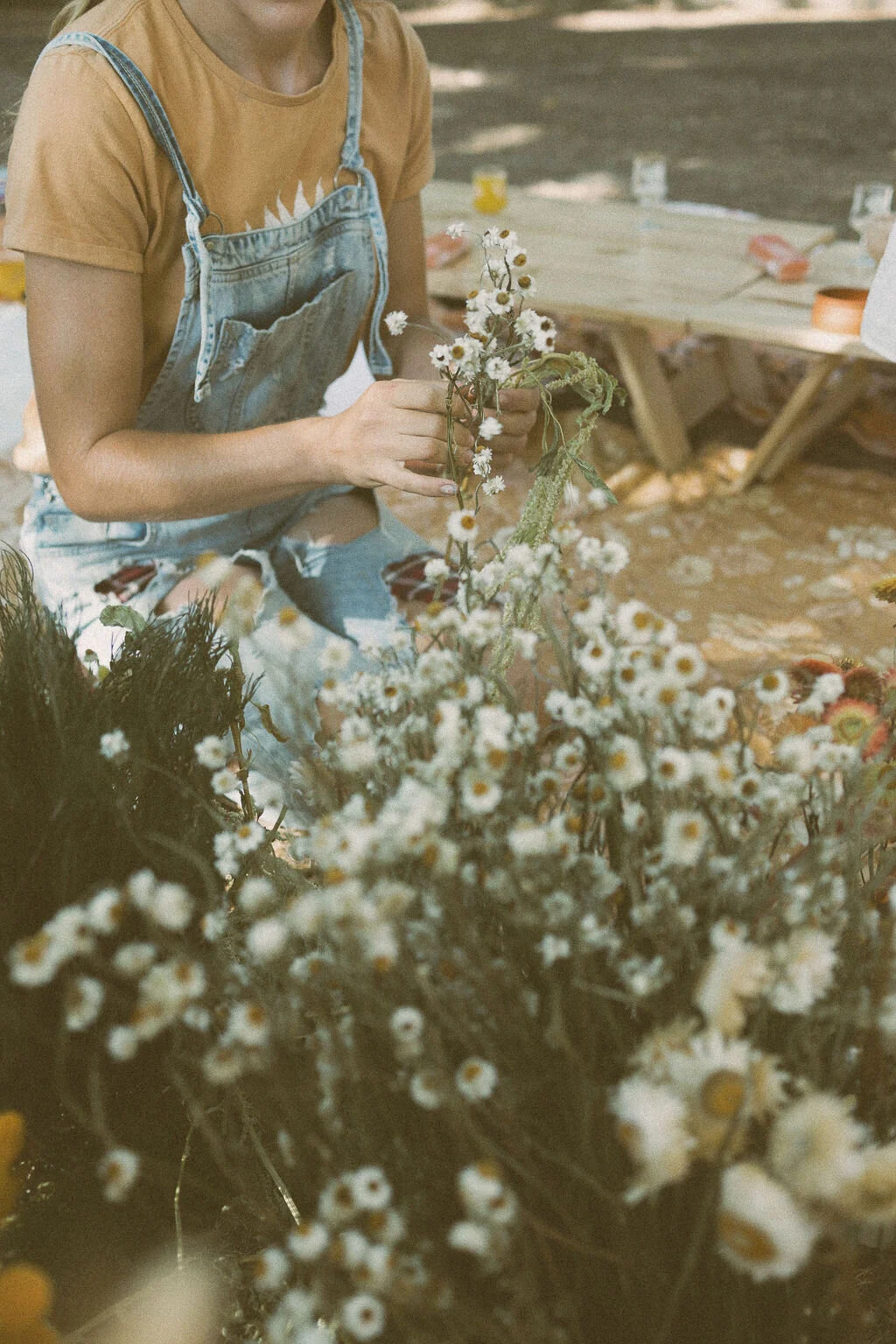 C353D9F3-6A52-4914-9F09-79E6736D0540