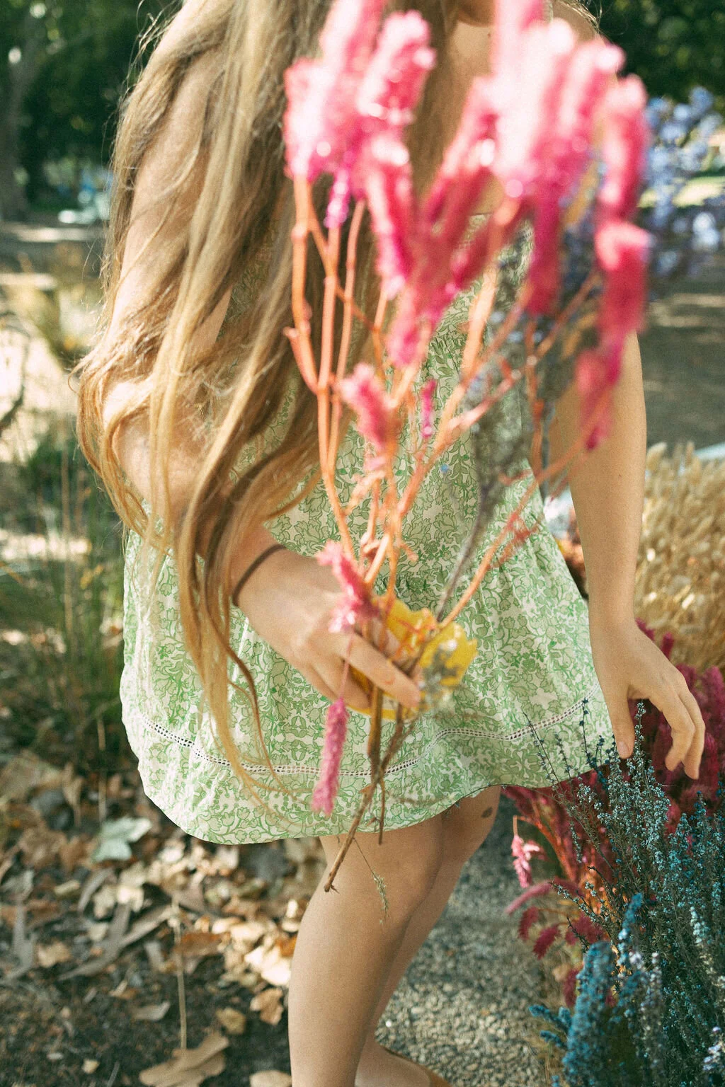 07AD5B62-036A-4D25-BA13-191D2632F24A