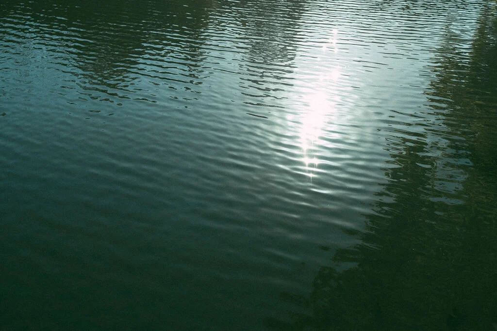 74407FC1-FB50-4E08-AE92-F099AEE99F63