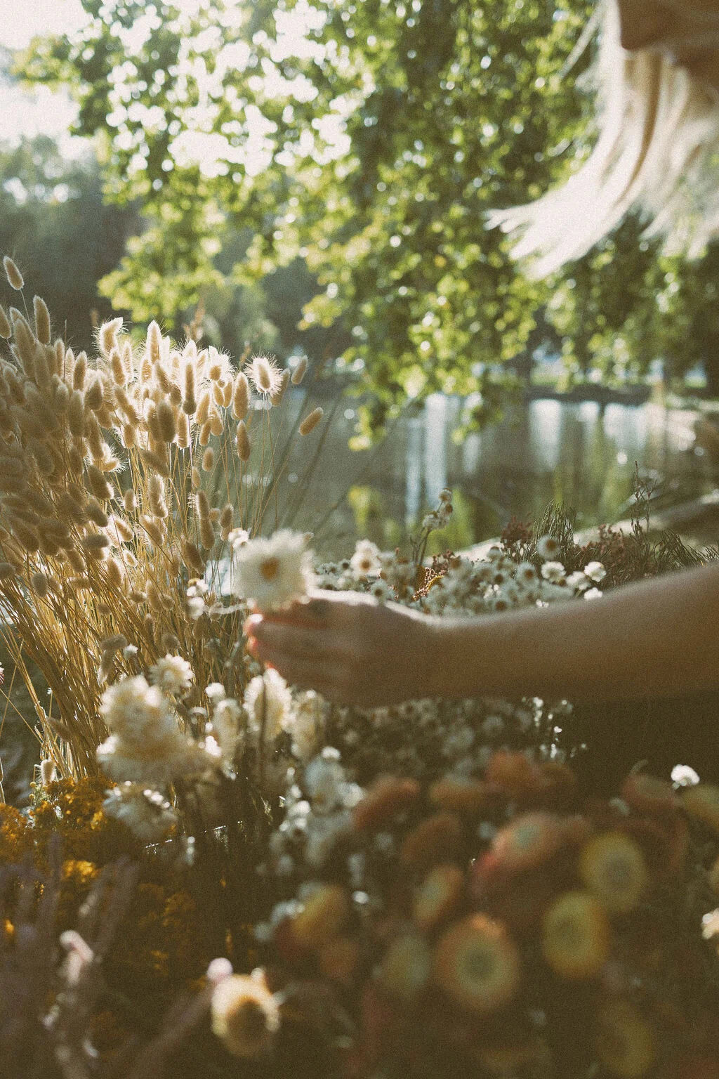 70B56169-9215-4D81-86B2-DC3B14EC47D2