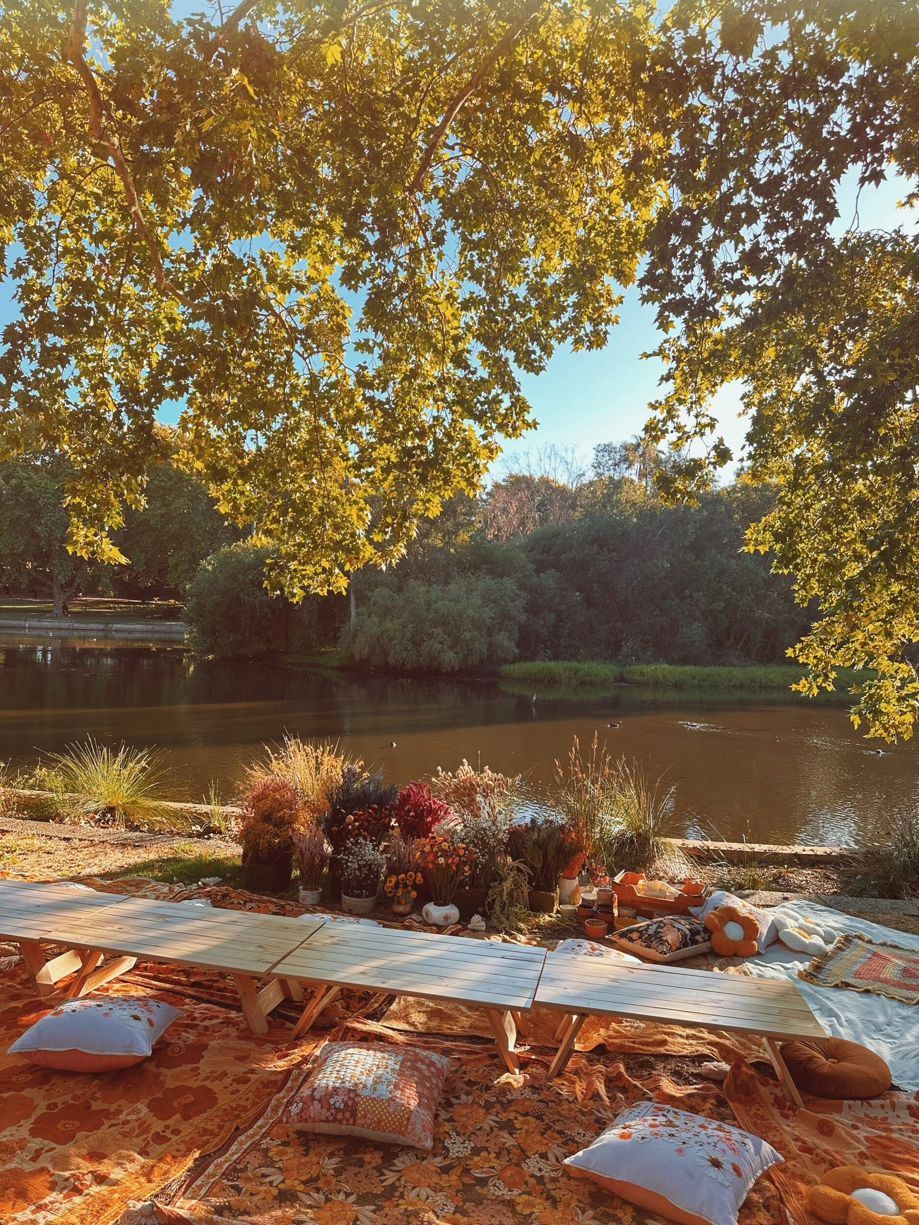 3AF57B7D-ECA5-4A32-BD5F-C612F6A1AA24