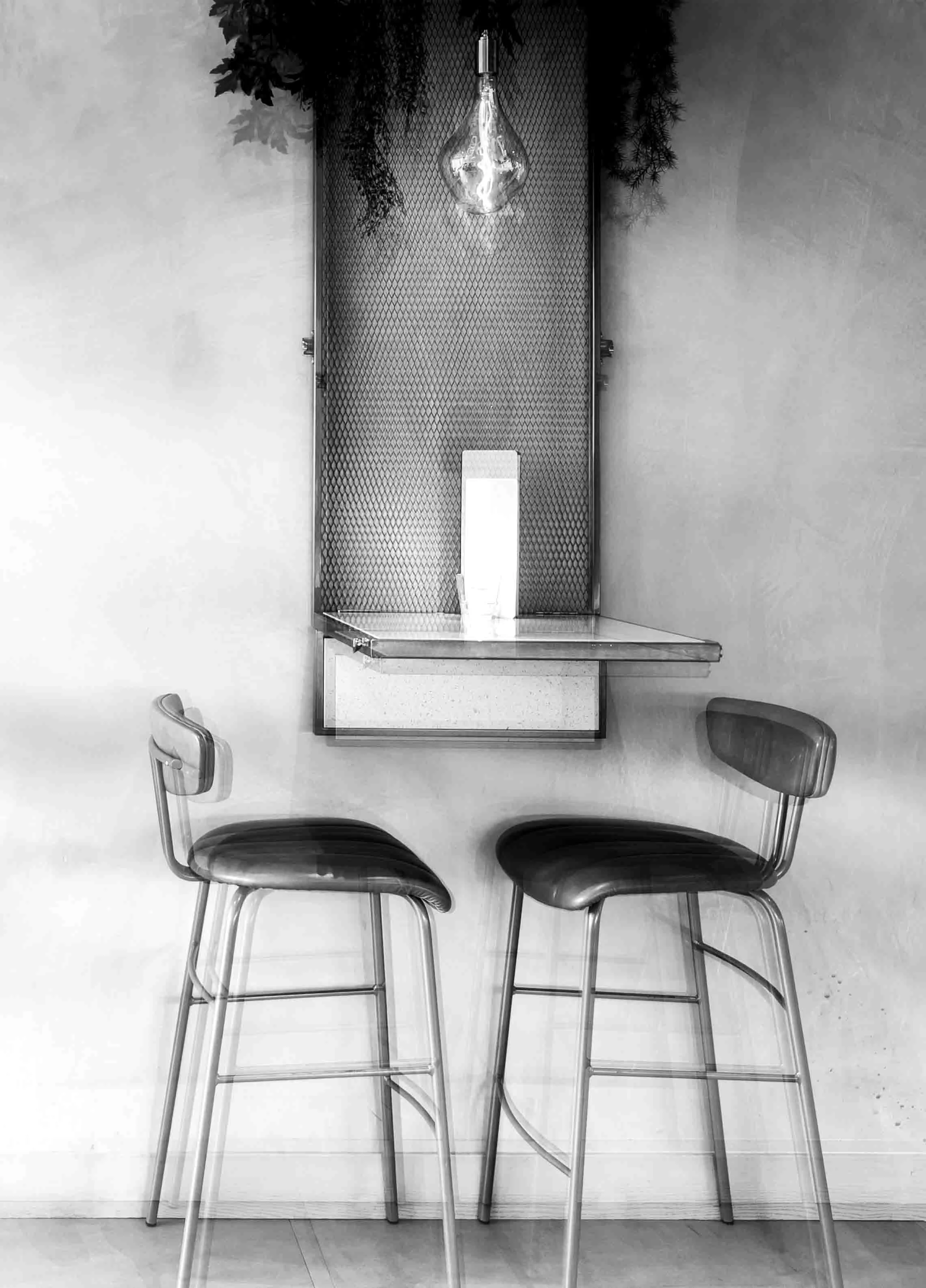 HEADS + TAILS the bar of contrasts