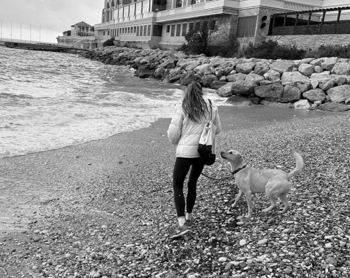 Brie or Me? Bringing Brie to Monaco