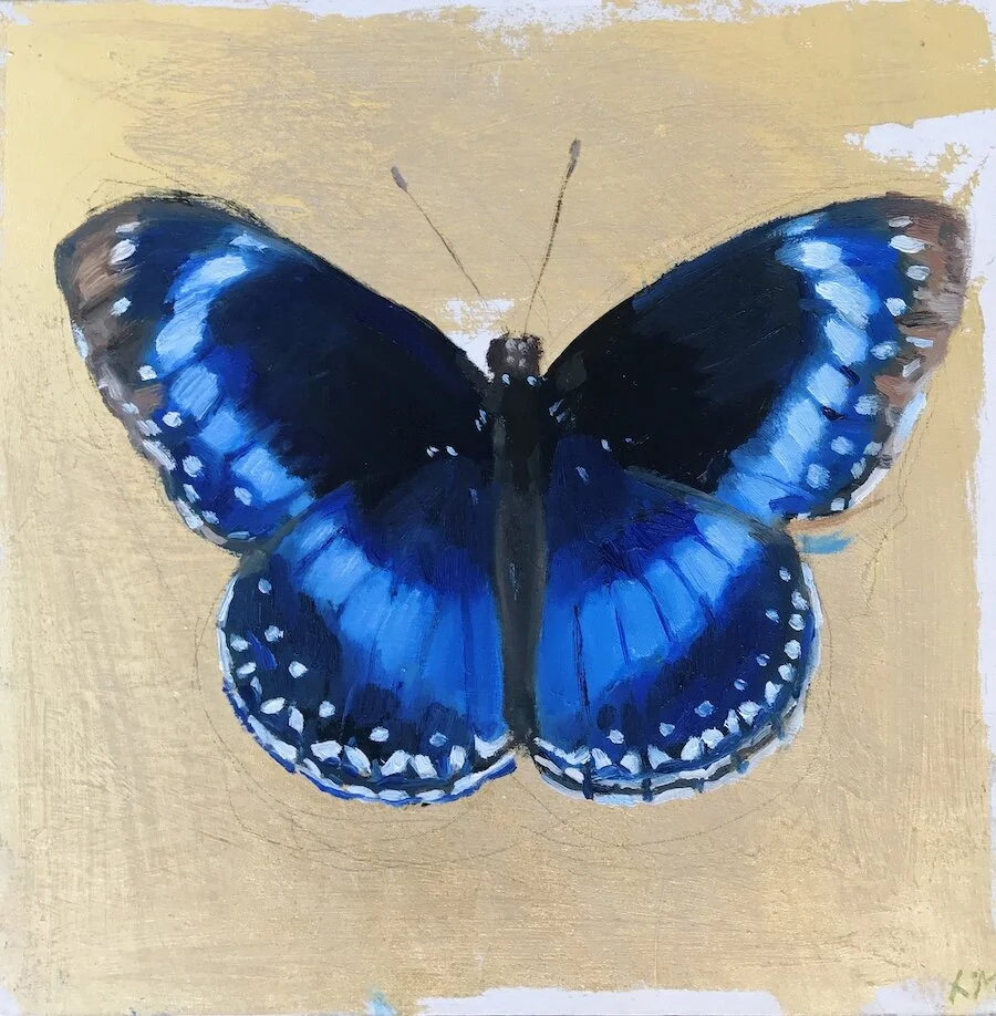 Blue banded eggfly.jpeg