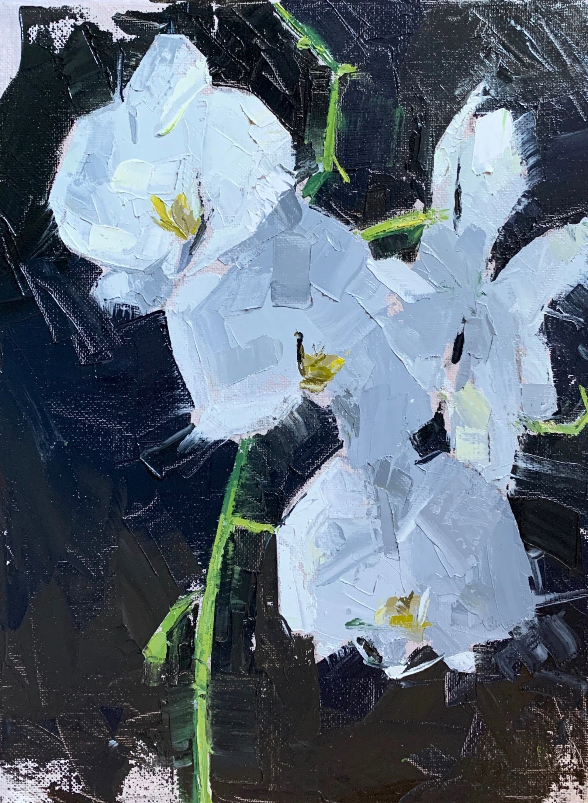 Whitagram-Image 30.jpeg