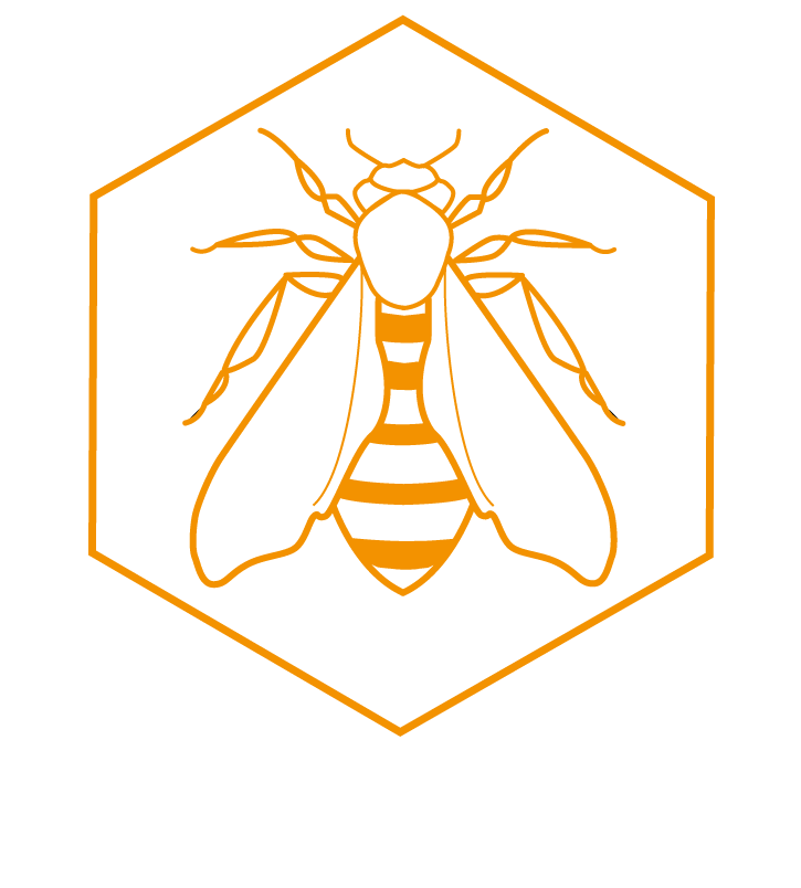 ARTWORK OPEN CALL: Exhibit with The Beehive: make a bee in any medium and post it to us before July 10th and your artwork will be exhibited in the Beehive as it tours! Read the submission details here (best viewed on a computer)