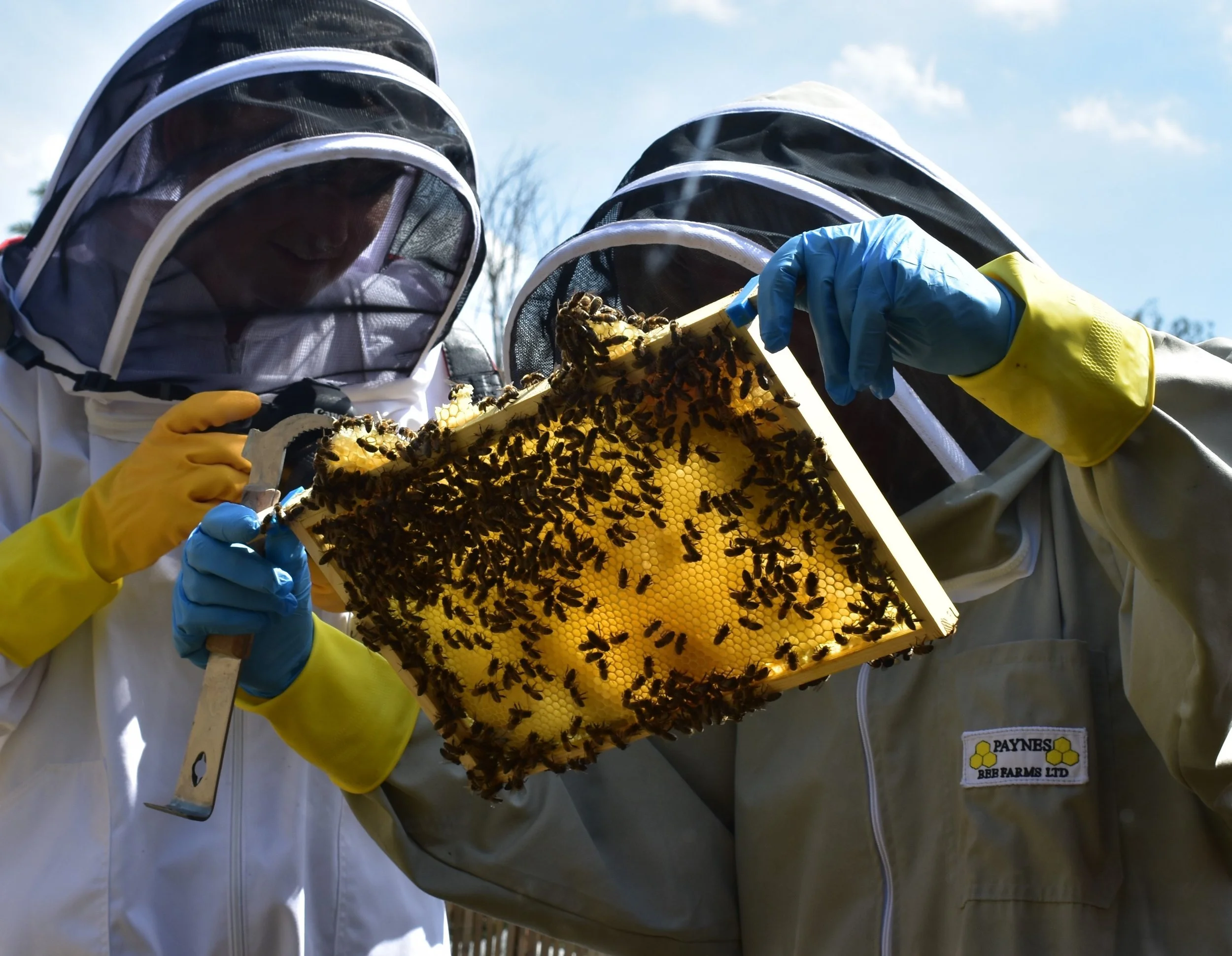 Can I Keep Bees? Workshop