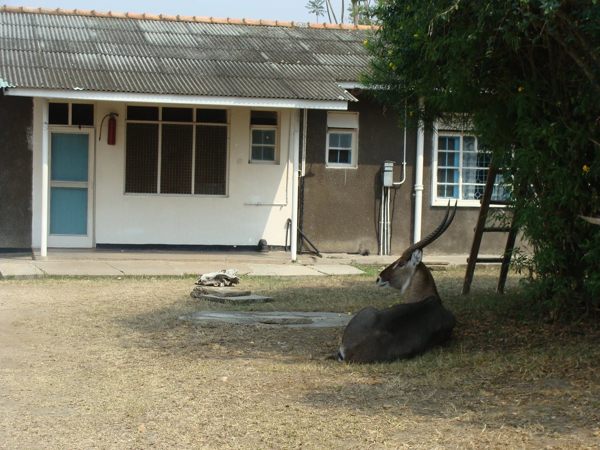 DSC08733.jpg