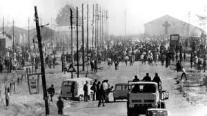 Processing Born a Crime