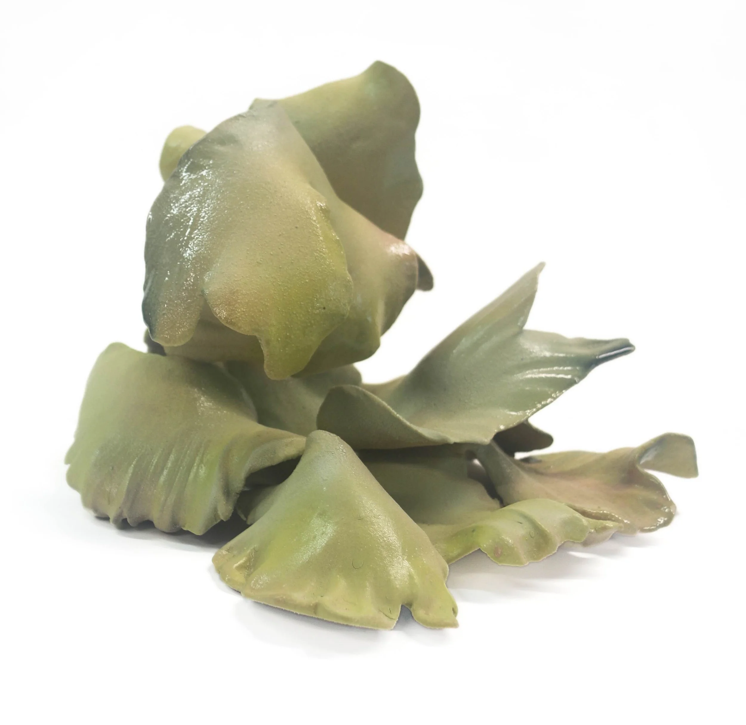 Emily SJ lichen sculpture small.jpeg