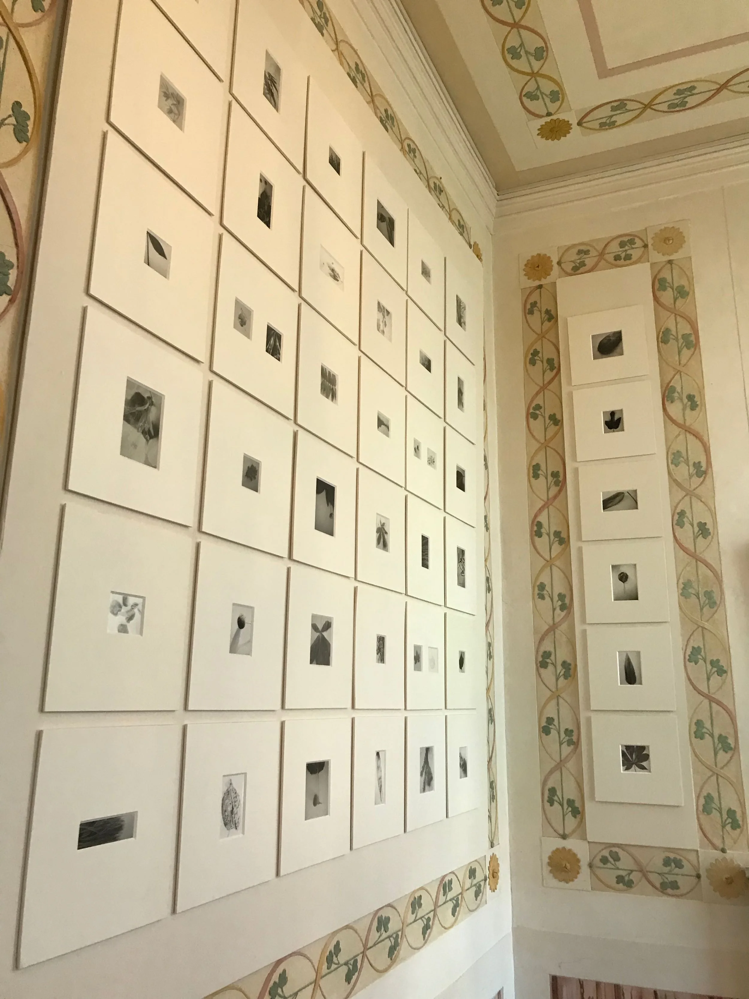 Mariateresa Sartori, pinhole camera photographs at the Fondazione Querini Stampalia, Venice