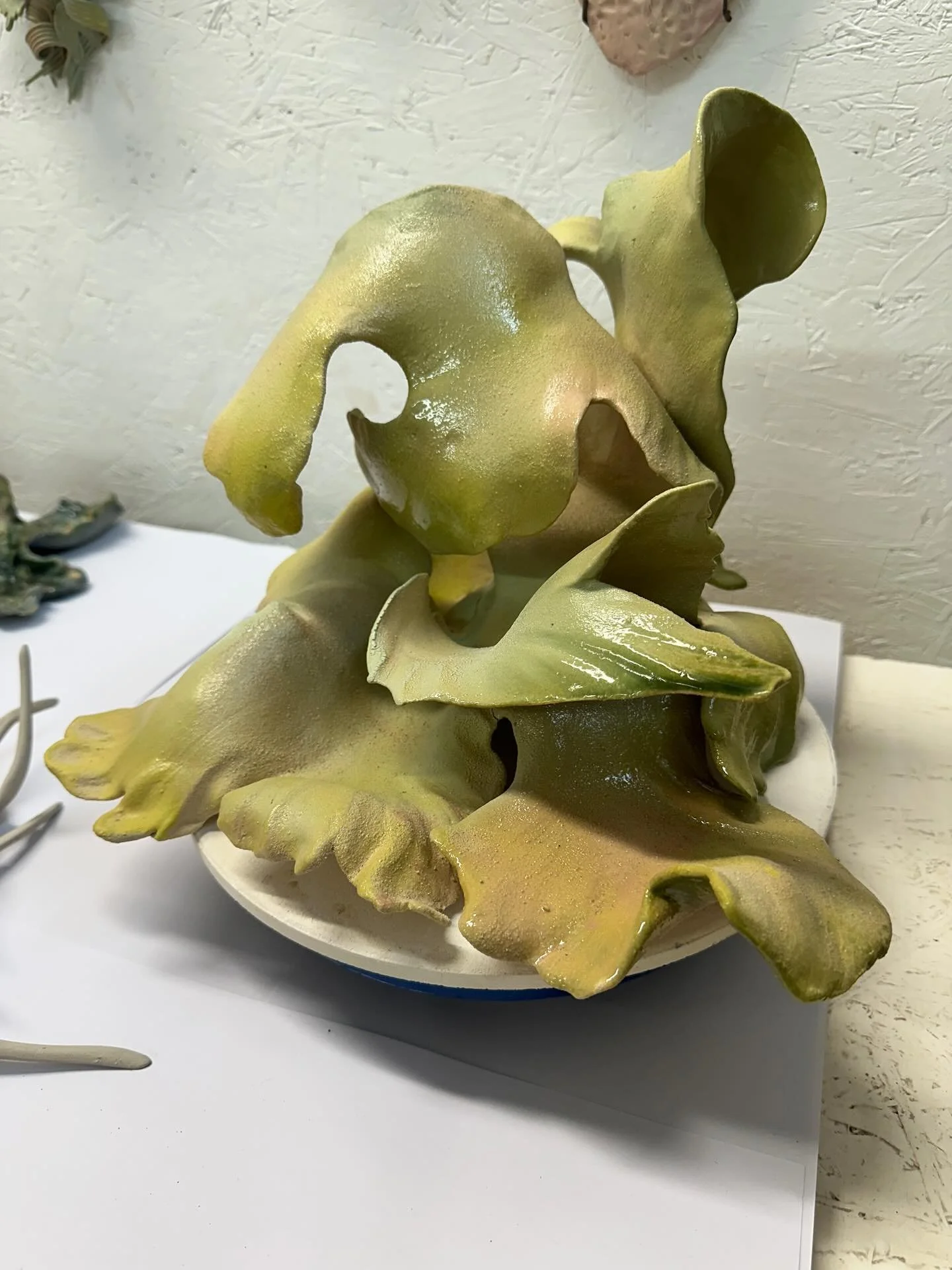 Visited @emilysjefferis_artist who has been making ceramic sculptures relating to her study of lichens, some of which were in a recent show @nunheadcemetery 
So I thought I'd go out in the garden and find some lichen, an often overlooked life form th
