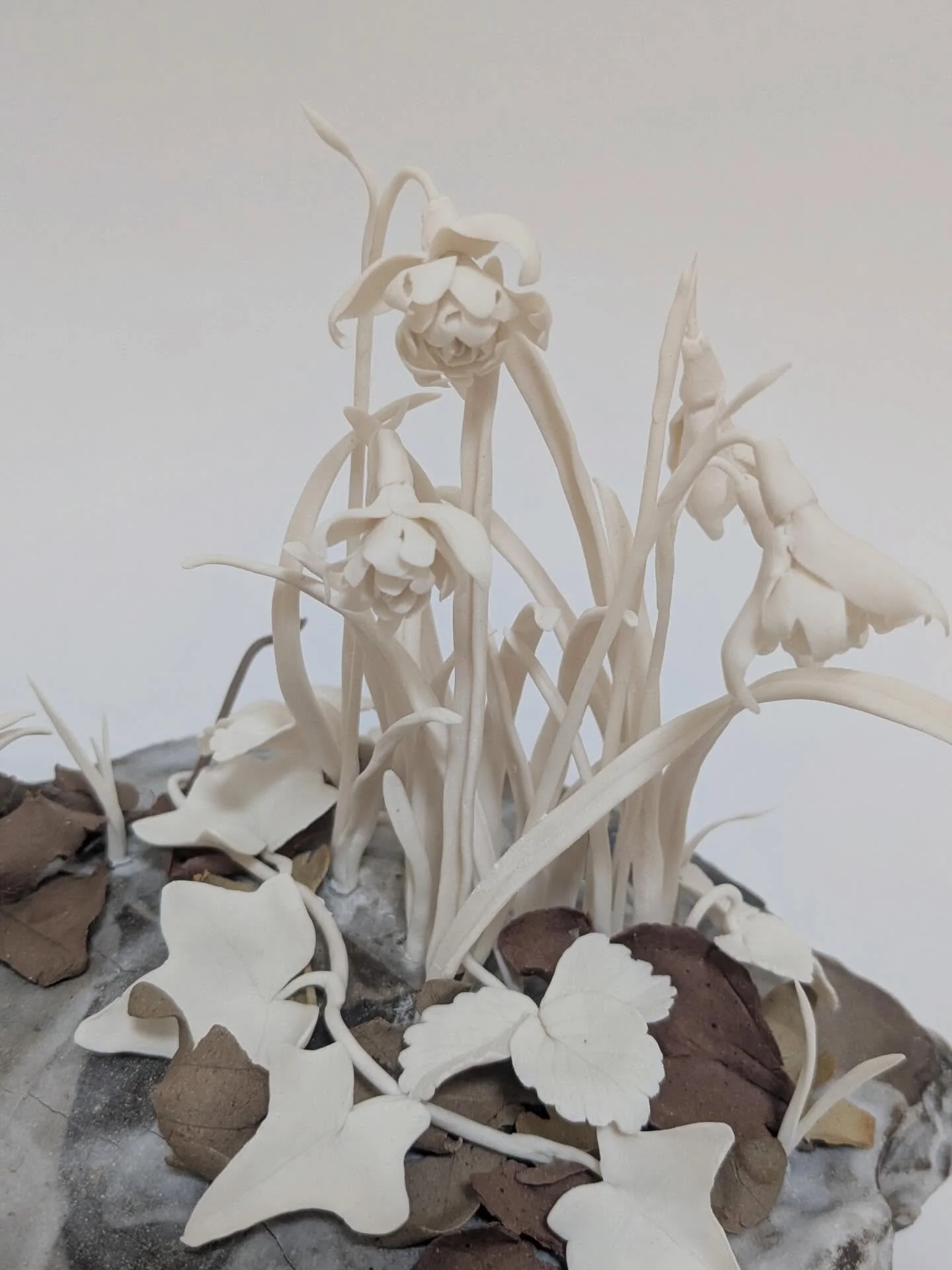 Some images of the four stunning pieces by Katie Spragg, made as part of her residency at Bolwick Hall earlier this year. 
When Katie visited in early February the snowdrops were flowering, the very first blooms to appear in the garden and carpeting 