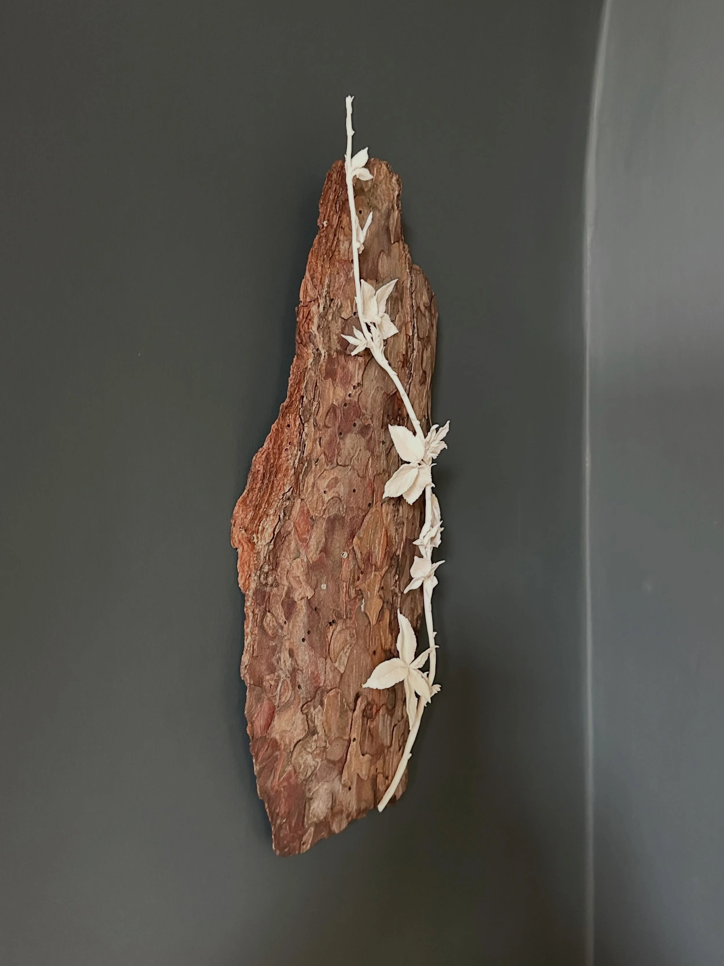 Very excited to show so much new work as part of 'The Garden Comes Inside' part of @nnfest 
Opening Saturday 3-5.30pm then ticketed 10-24 May

@katie_spragg_ceram 
@helena.lacy.clay 
@matthewrichardsonartist 
@nessiestonebridge 
@aliyah.a.hussain 
@t