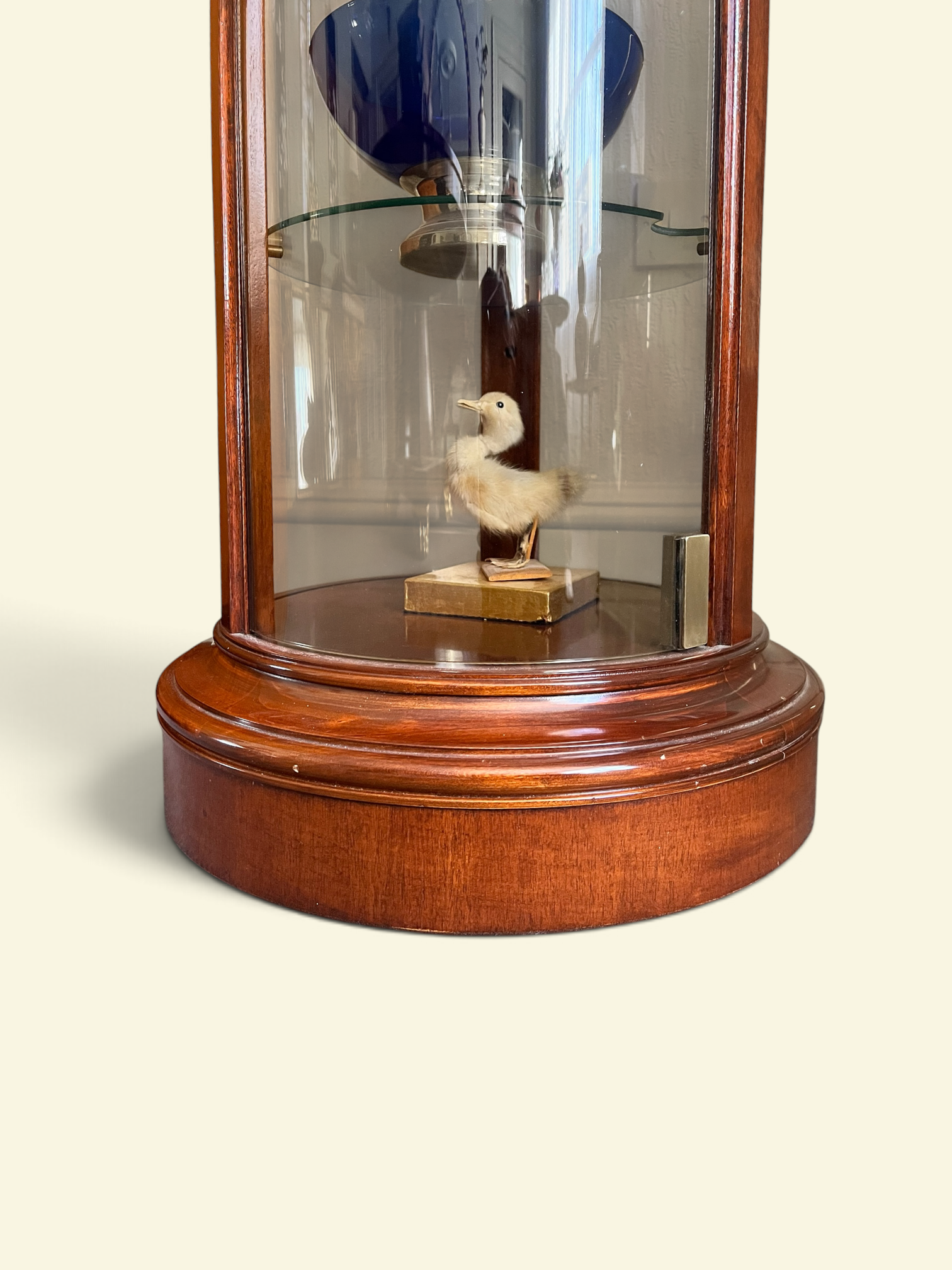 Photoroom_20260924_110211.PNG