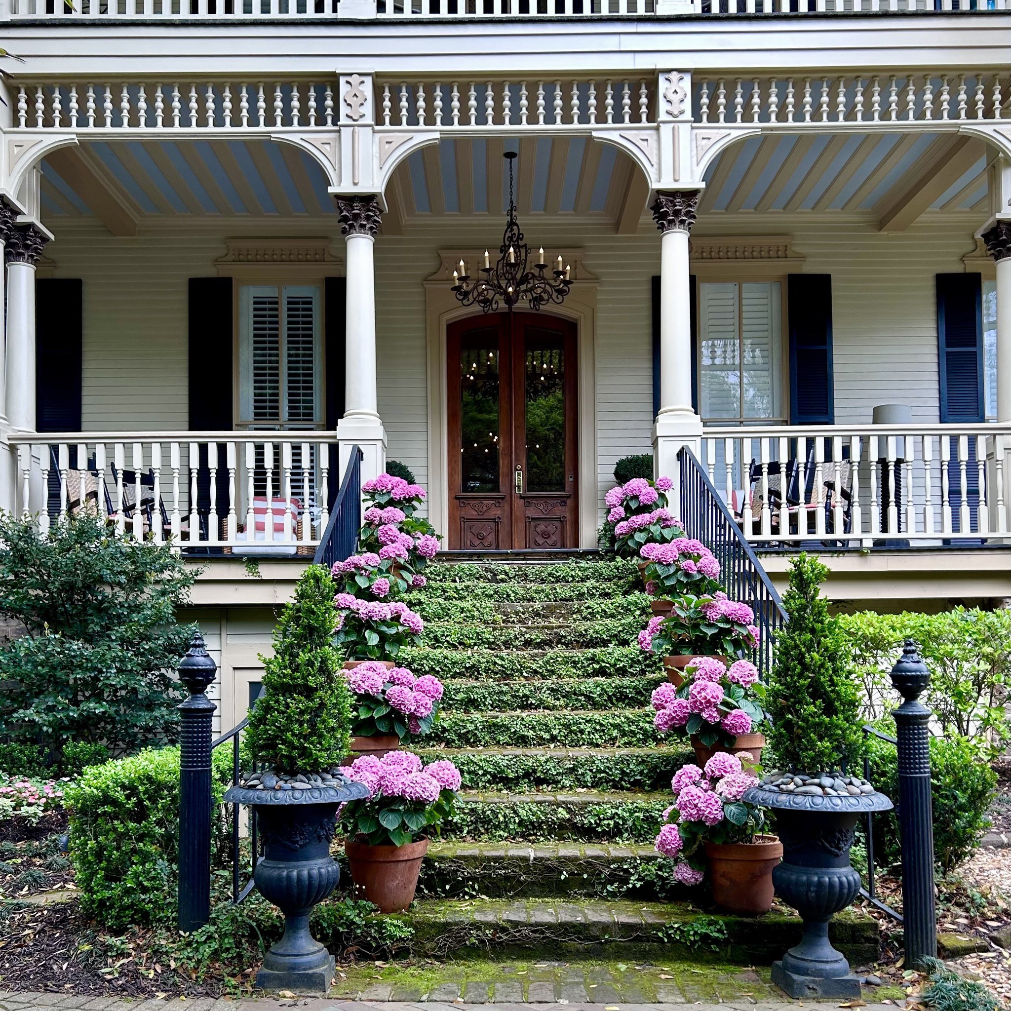 Wow your neighborhood! A series of planters filled with a single flower variety can make a huge impact. These pots are showcasing pink #hydrangeas.

#gardenspots #DIYplanters #containergardening #curbappeal #planters