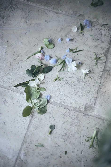 cut01_013.jpg