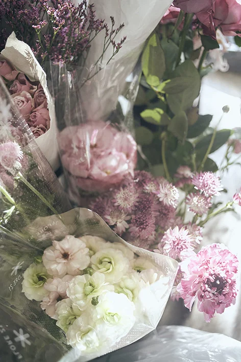 cut01_231.jpg