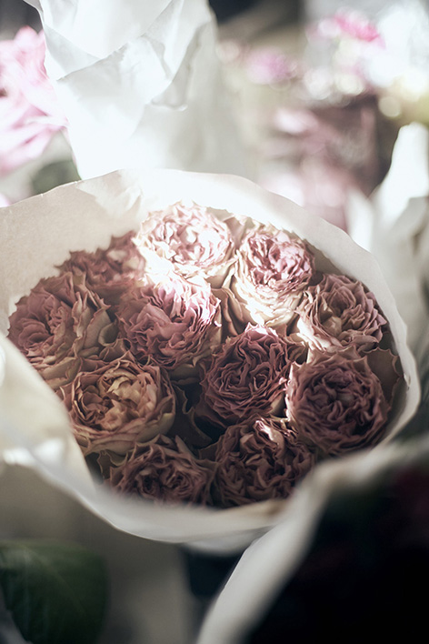 cut01_255.jpg