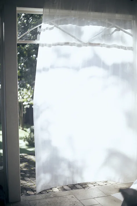 cut01_339.jpg