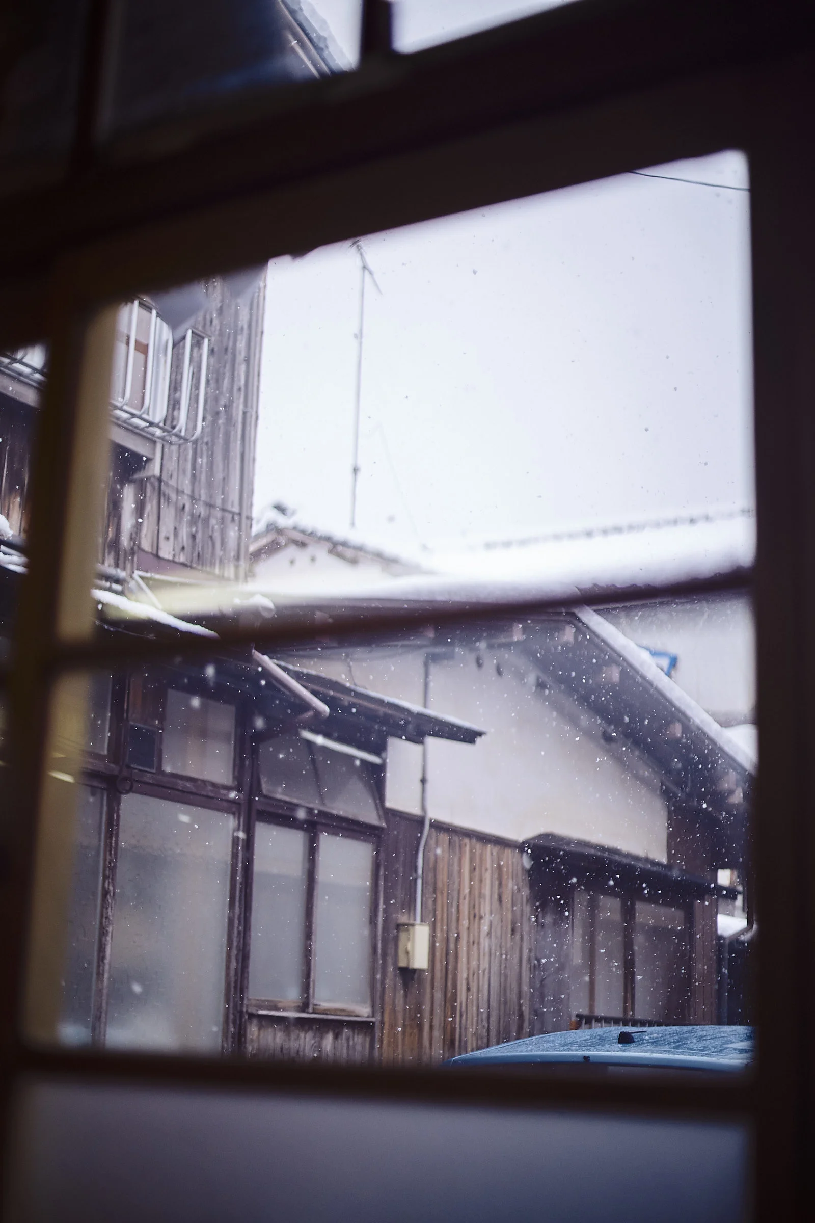 cut01_063.jpg