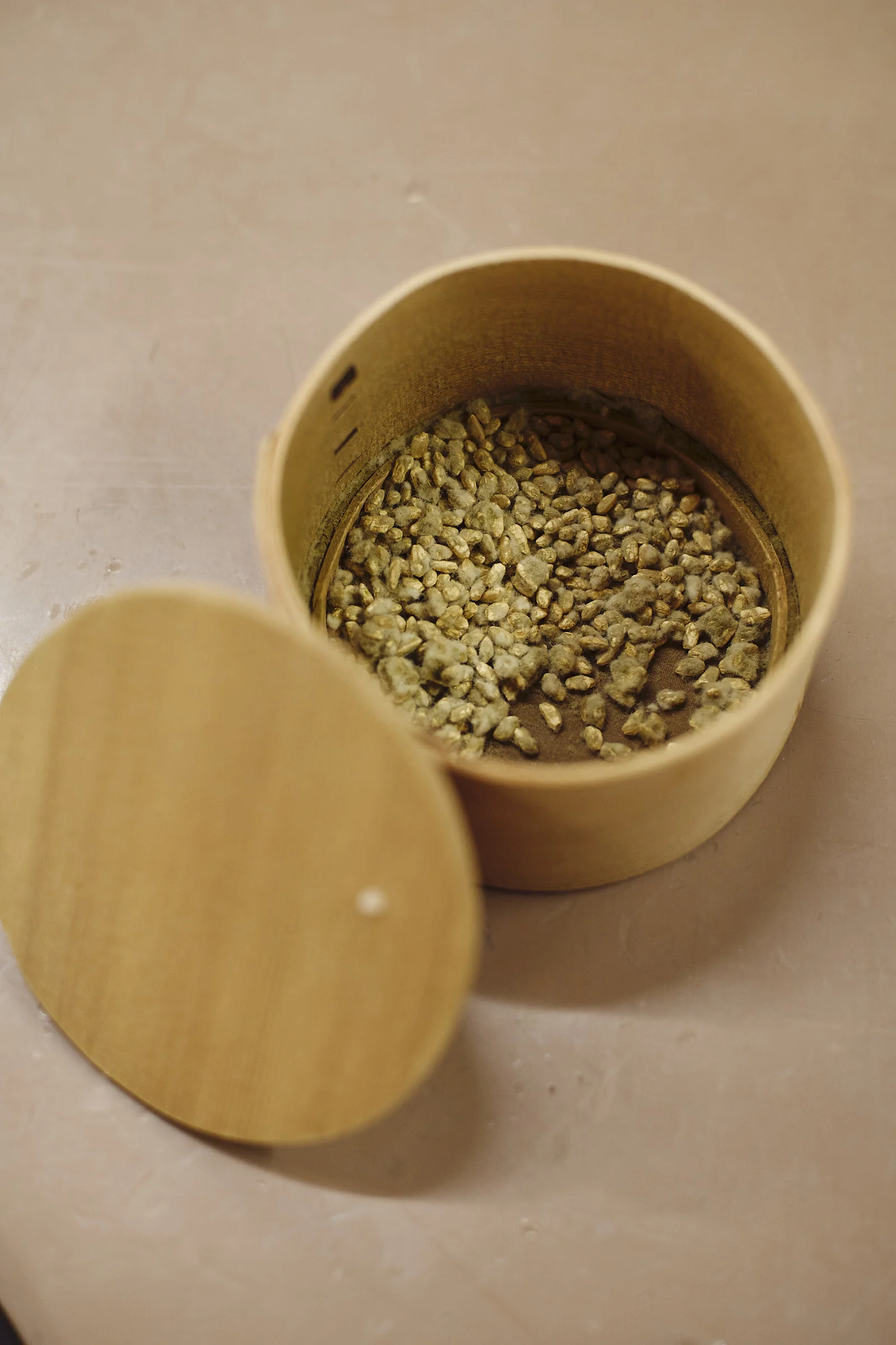 cut02_1535.jpg