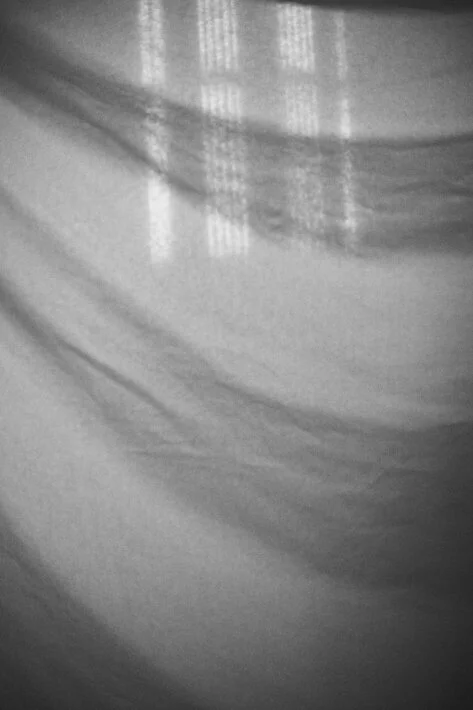 cut01_1490.jpg