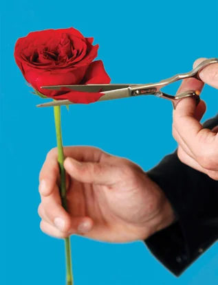 The Barber of Seville