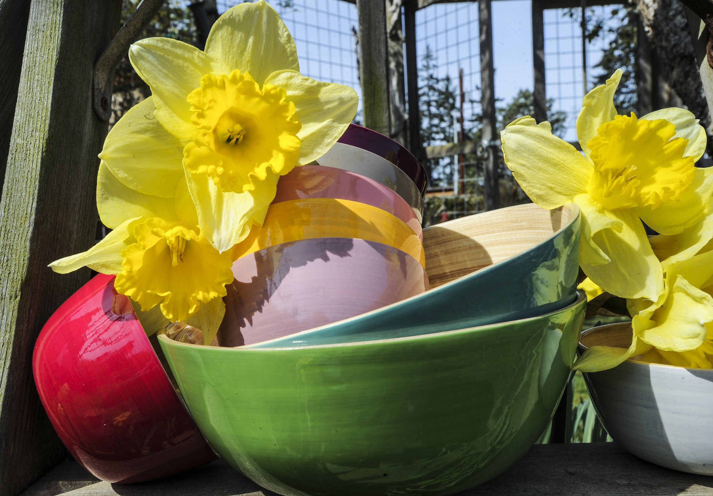 Bowls with flowers.jpg