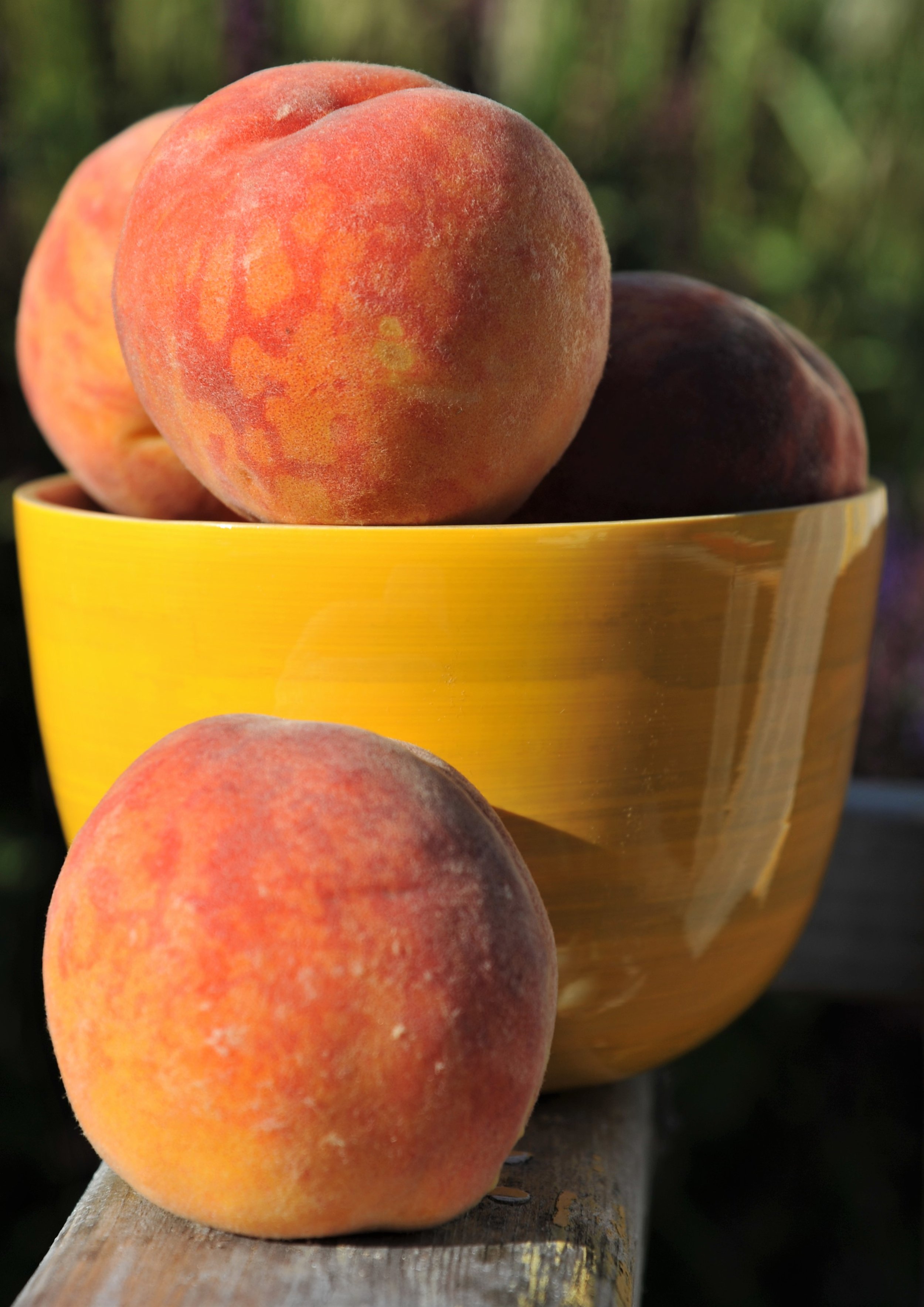 Peach and 15 x10.jpg