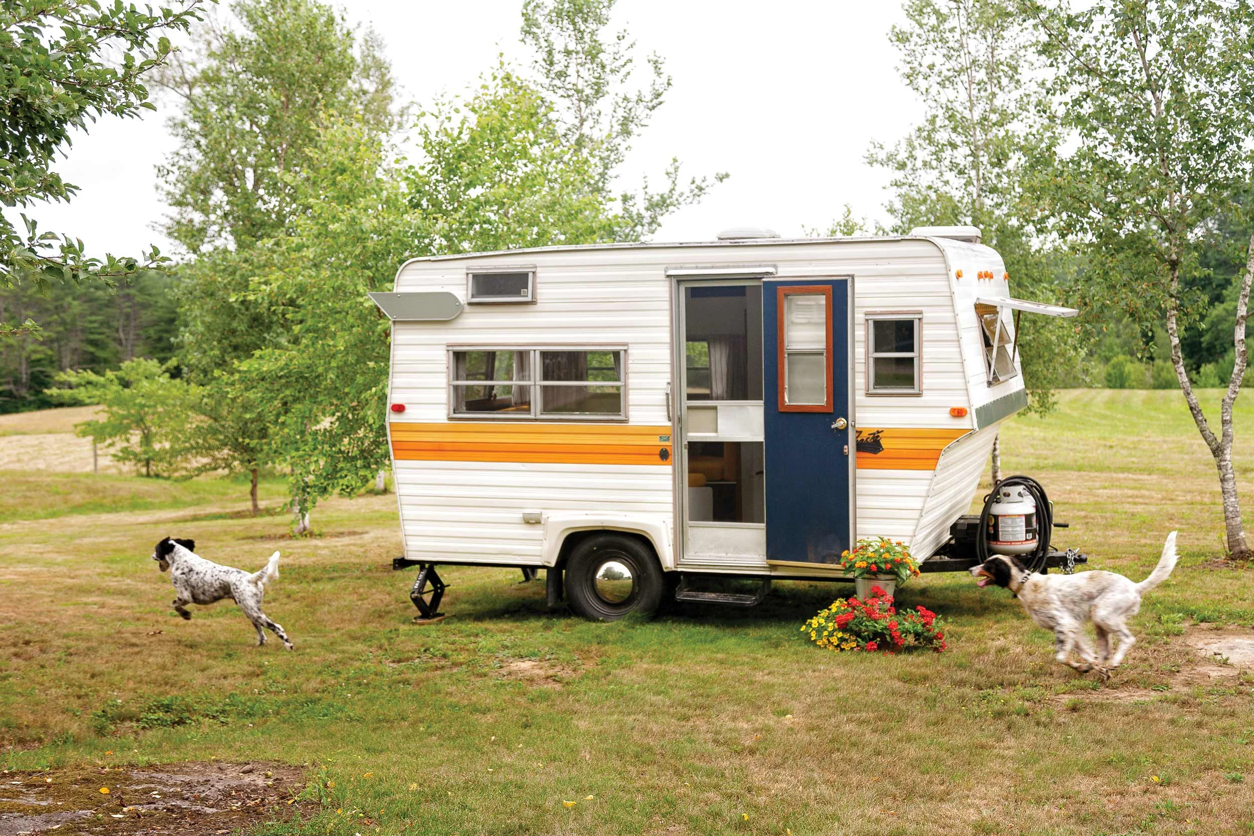 Cider and Cowboy give chase around Miss Marigold, the Manahan’s 1973 Shasta camper.
