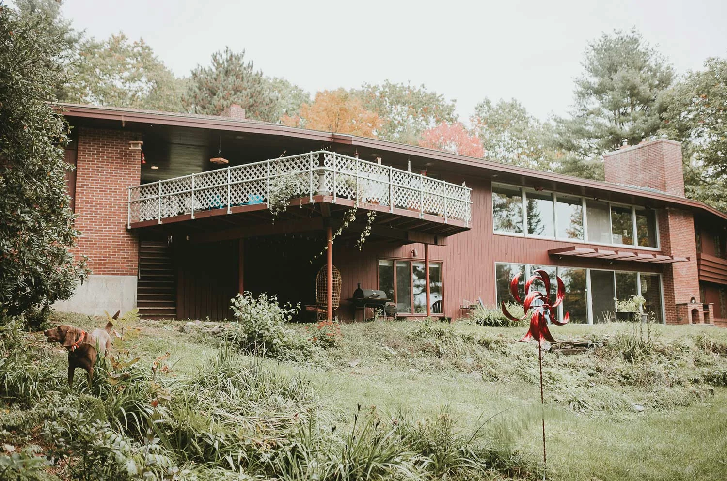 blevins-maine-author.jpg