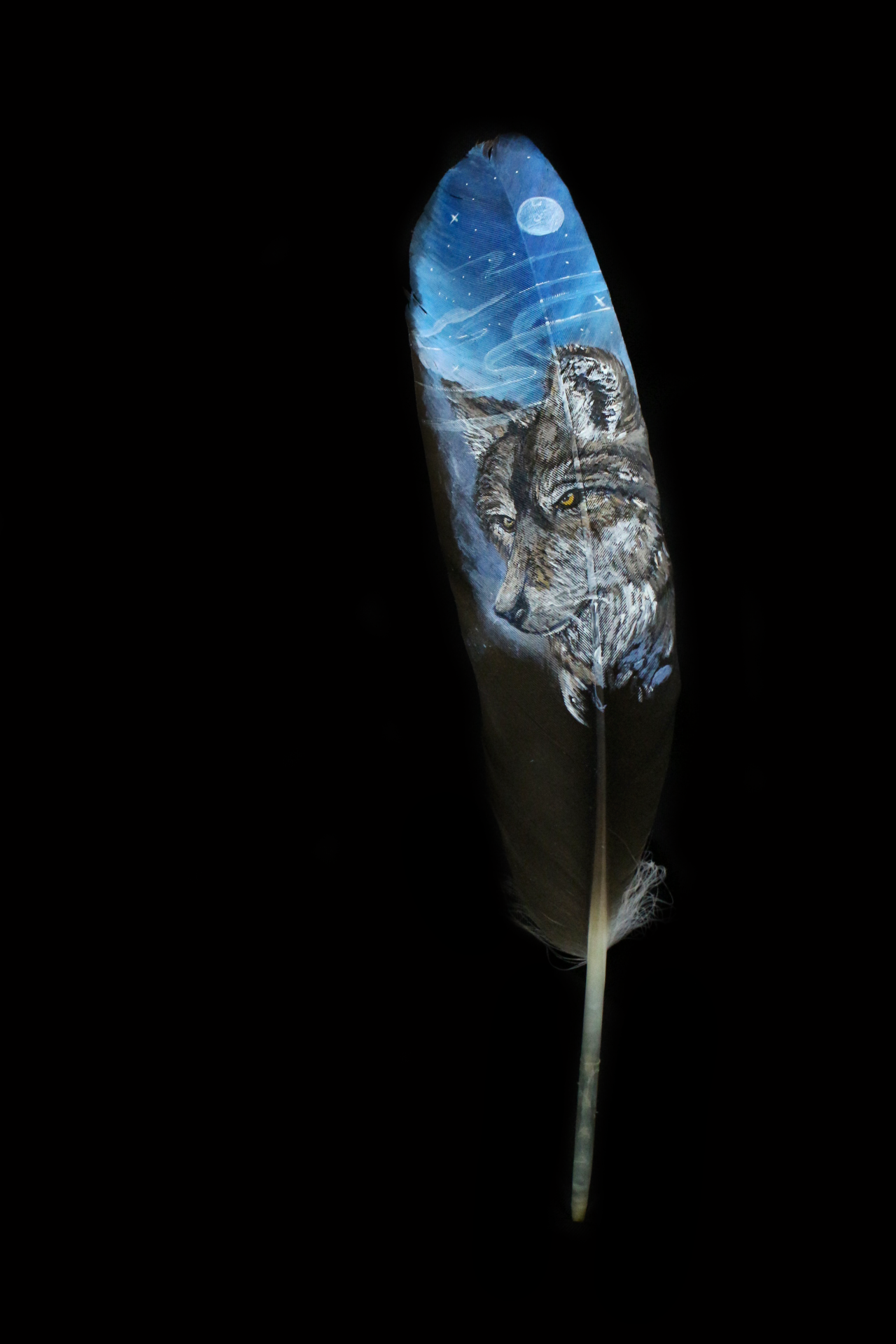 WolfFeather2.png.jpg.png