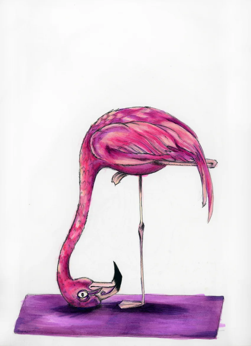 Crooked Carl Yoga.jpg