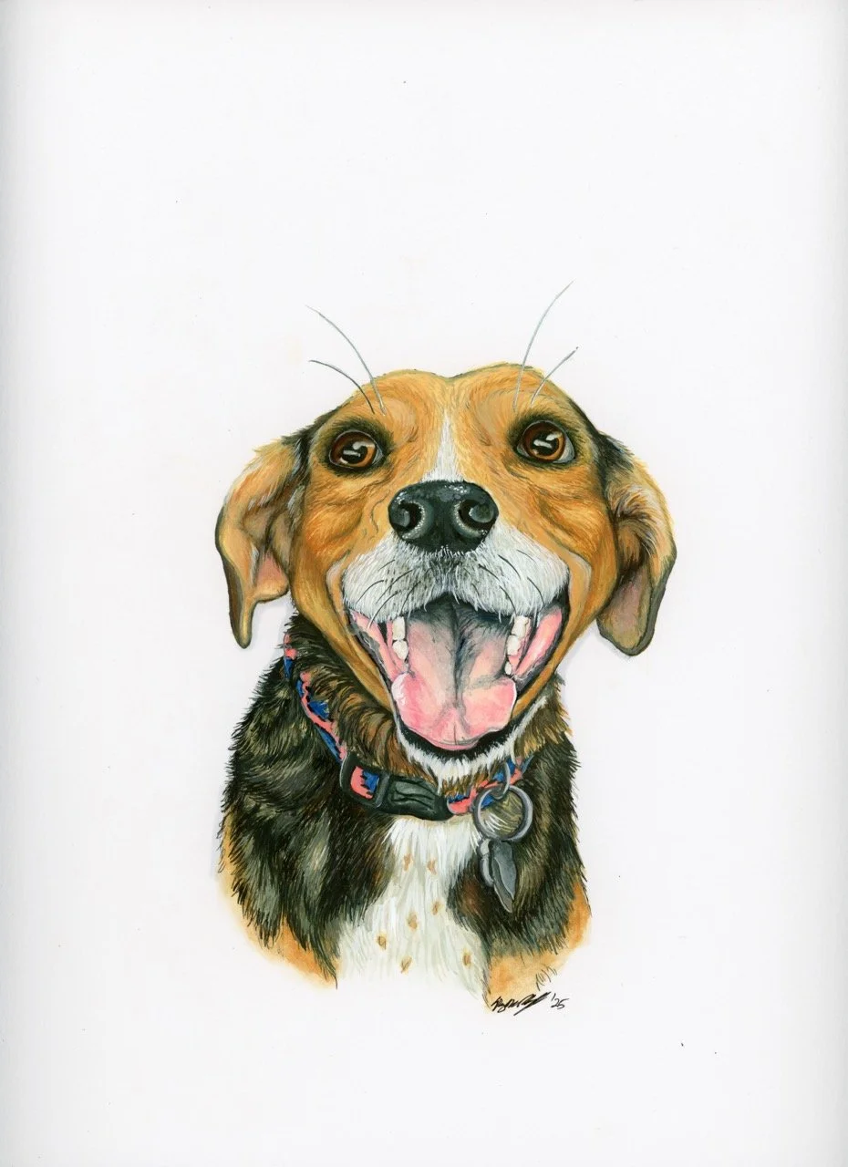 img20250920_10115902 Large.jpeg