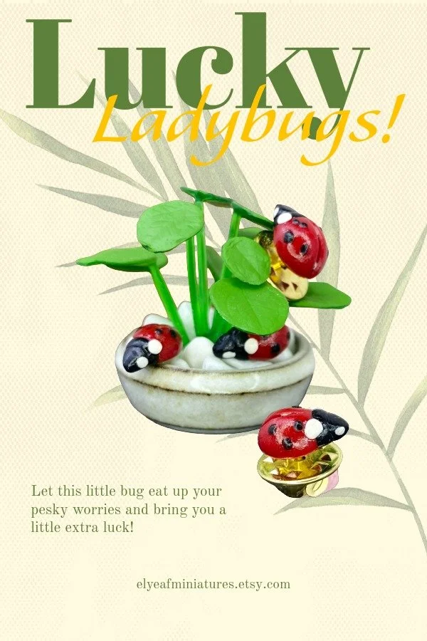 Lucky Ladybugs Newletter.jpeg