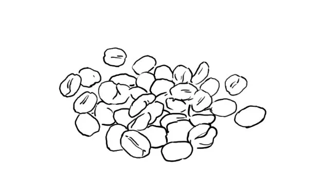 greenbeanssketch.jpg
