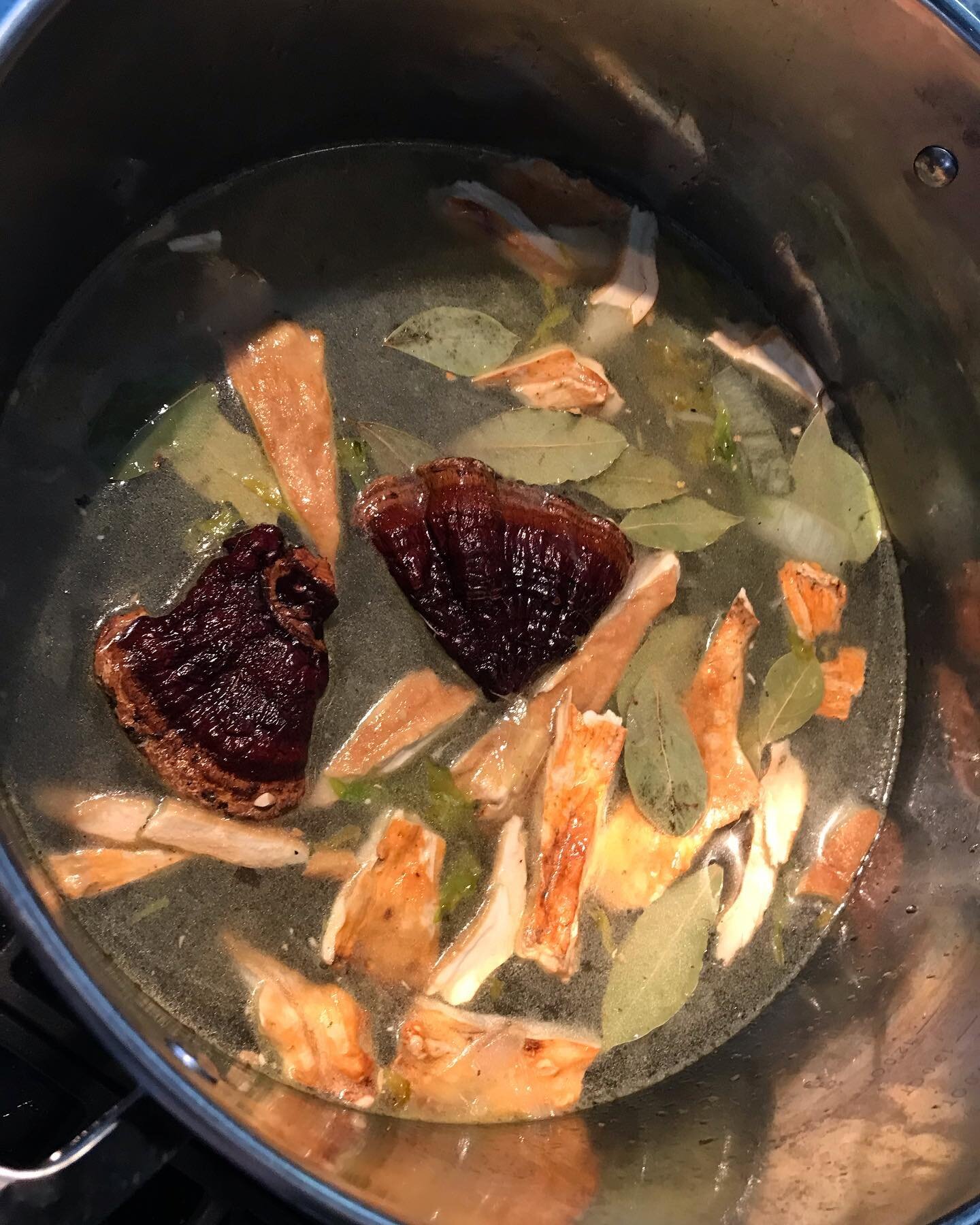 ✨ making medicine today ✨

adding reishi that I foraged off a neighbors tree right here in my Southfield, MI neighborhood this summer, as well as some locally foraged chicken of the woods and later some dried morel from last season.

taking inspirati