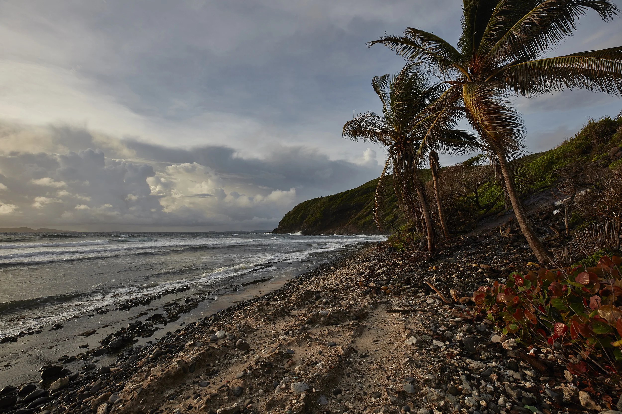 JAG-STANDFAST_BEQUIA_0283_RT_web.jpg