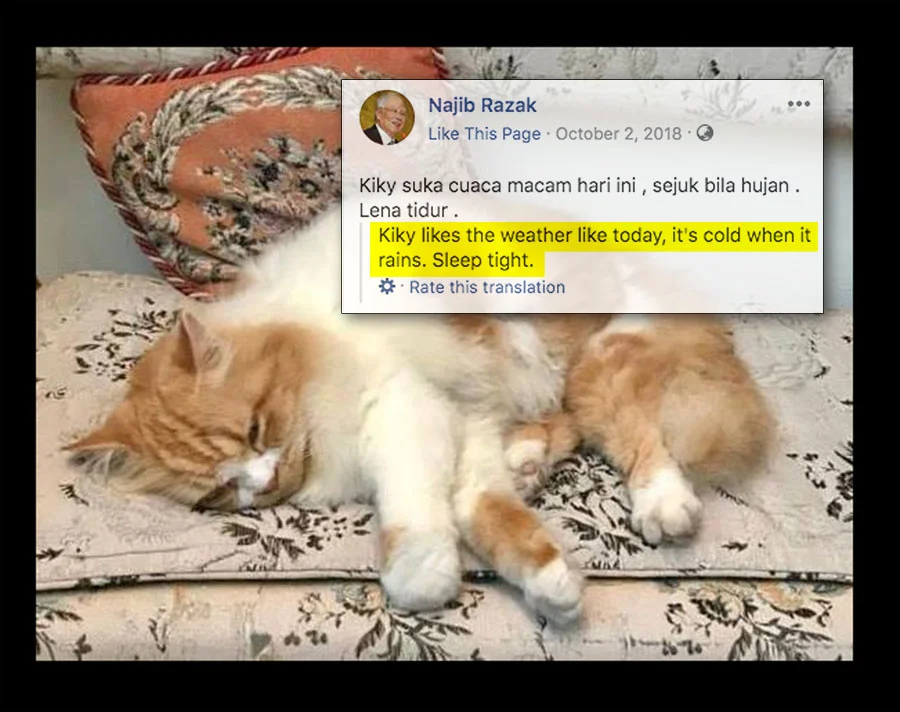 Najib-cat-v5.jpg