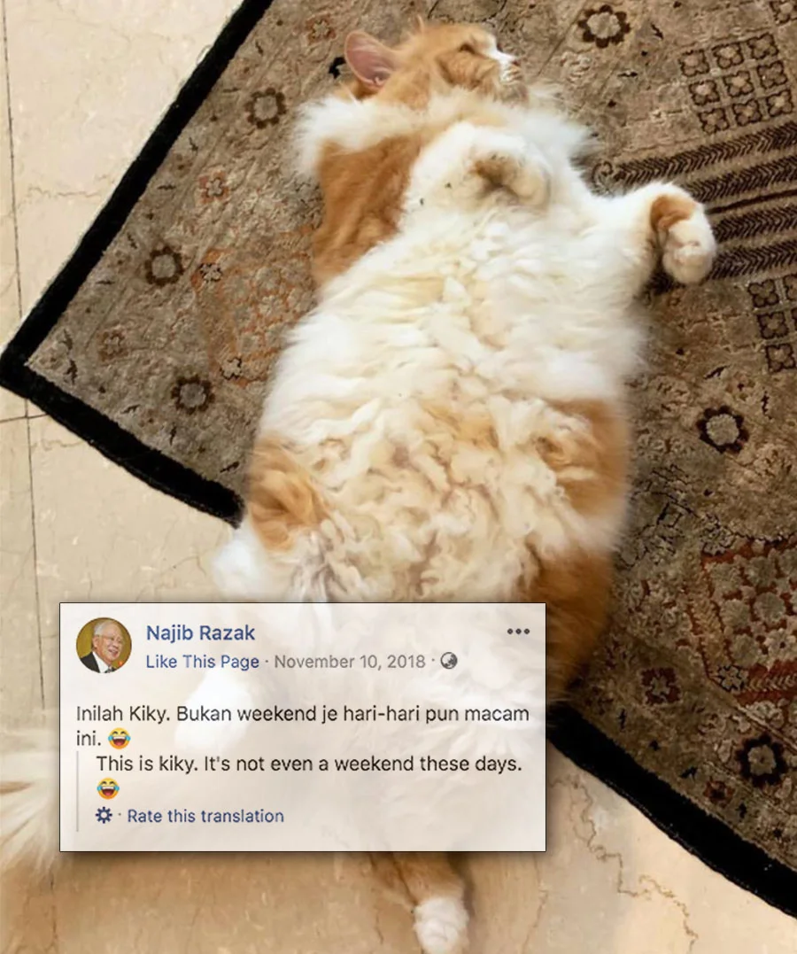 Najib-cat-v6.jpg