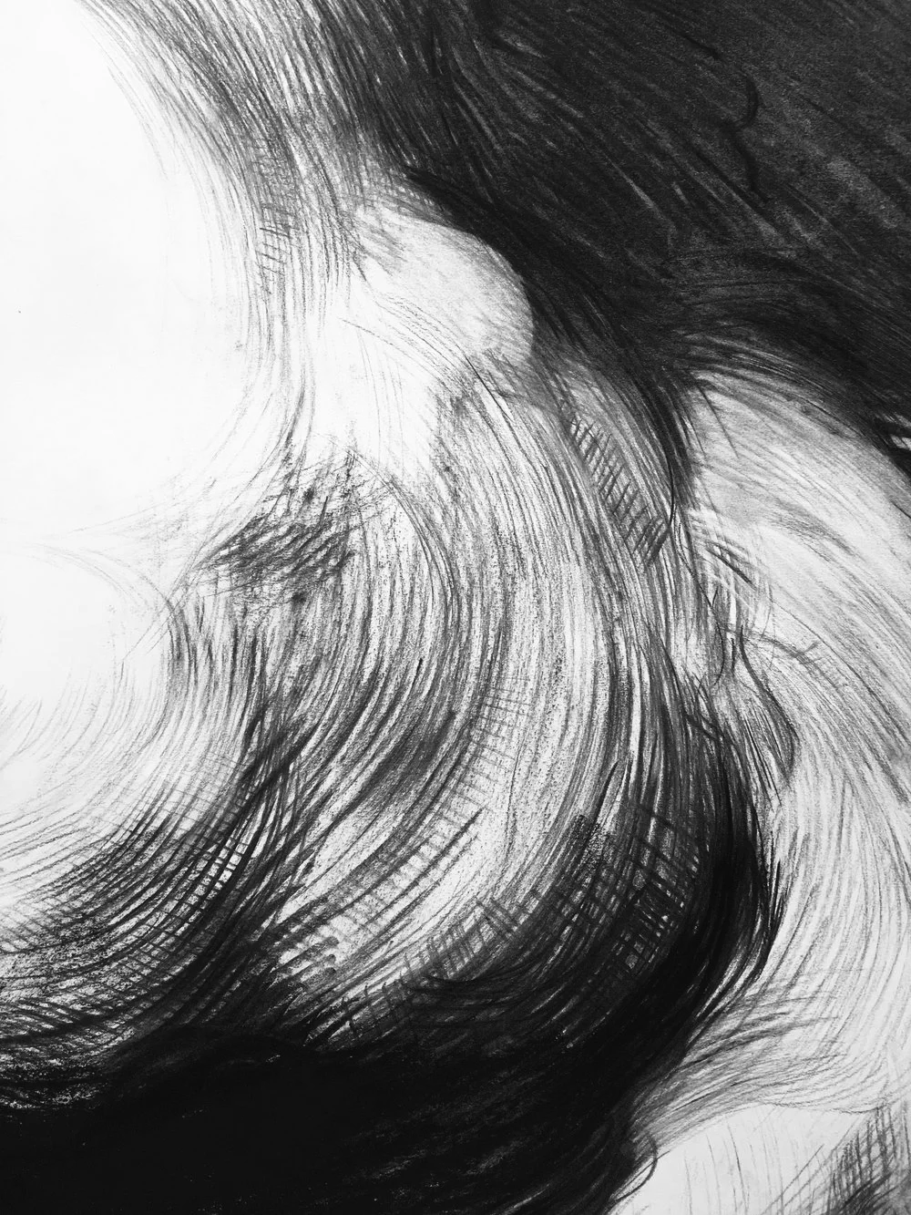 Cloud Study No.1, detail