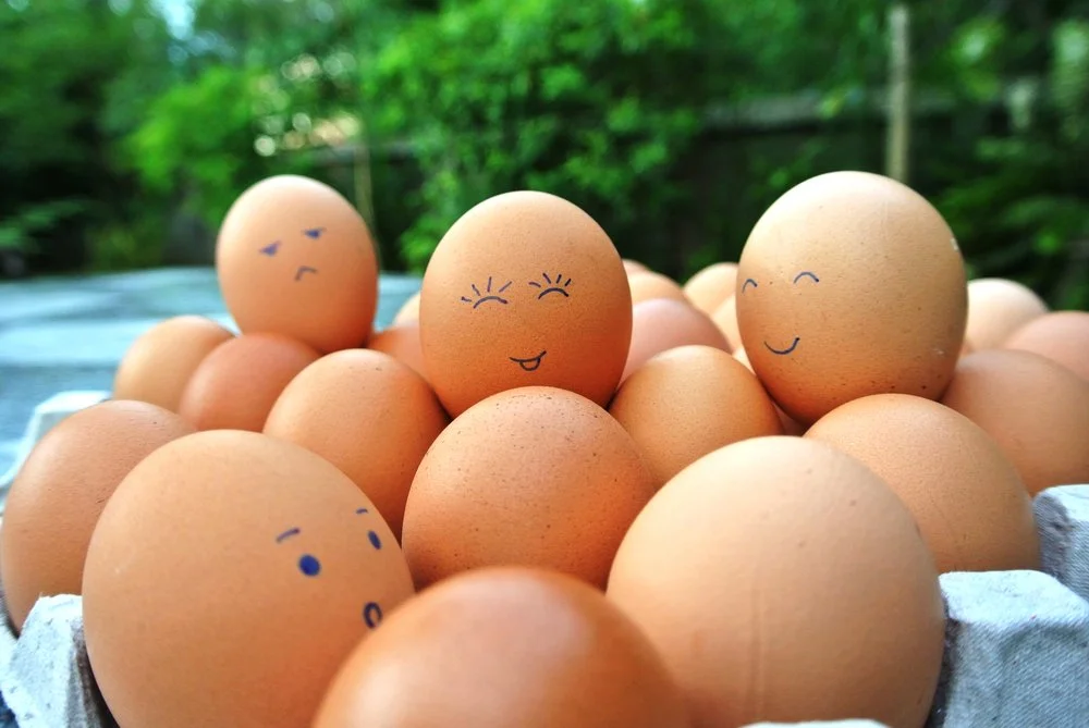 Are You Prepared for the Journey?