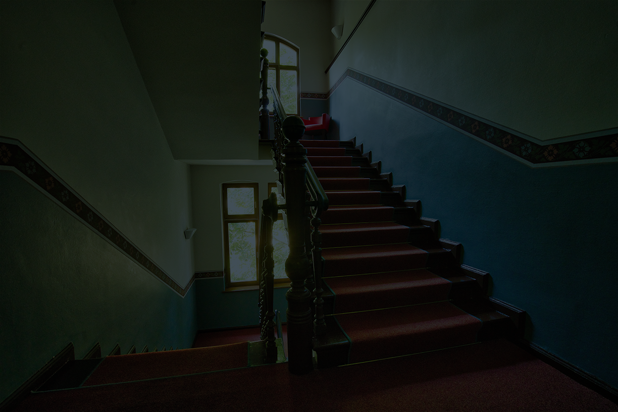 stefan-steinbauer-312030-unsplash.png