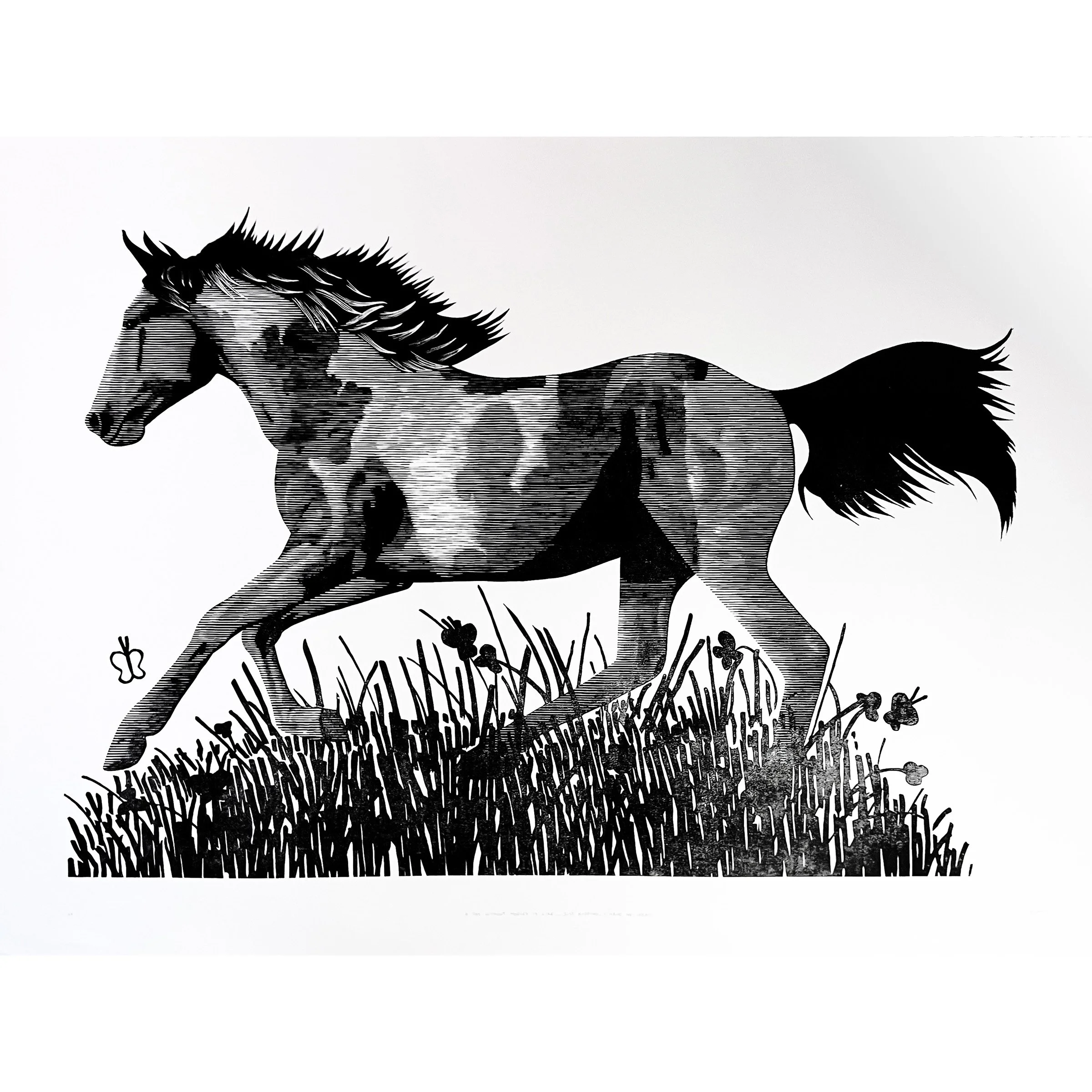 2_Curtis_C_A Day Without Horses....jpg