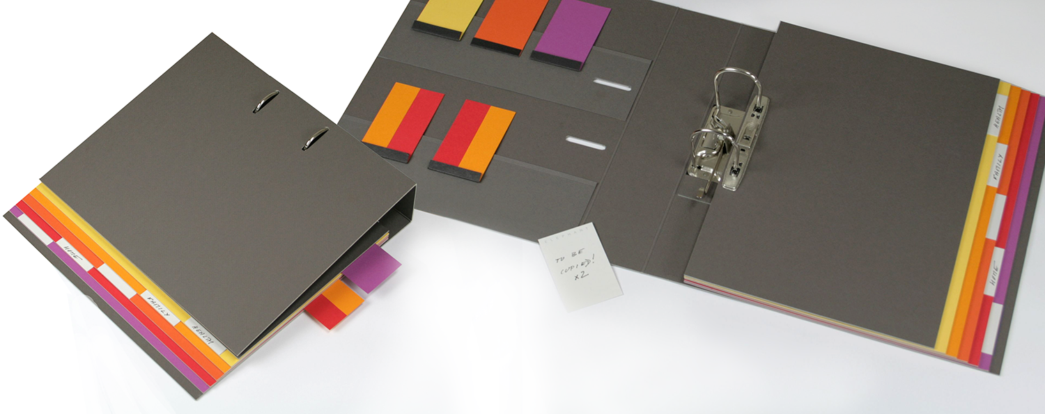 The small file promotes reuse of 'favourite' cards such as travel notes or shopping lists. Three simple sections and the same uncluttered layouts and colour use as the planner enable sufferers to do more with confidence. The large file for A4 documents features 'bookmarks' that allow a link to be made between two locations. For example, between papers in the large file and in the attention frames