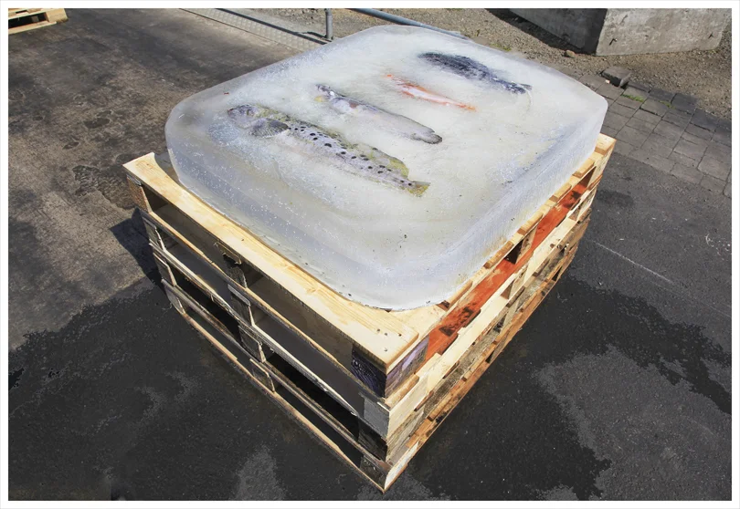 5__Net Value installation detail.jpg