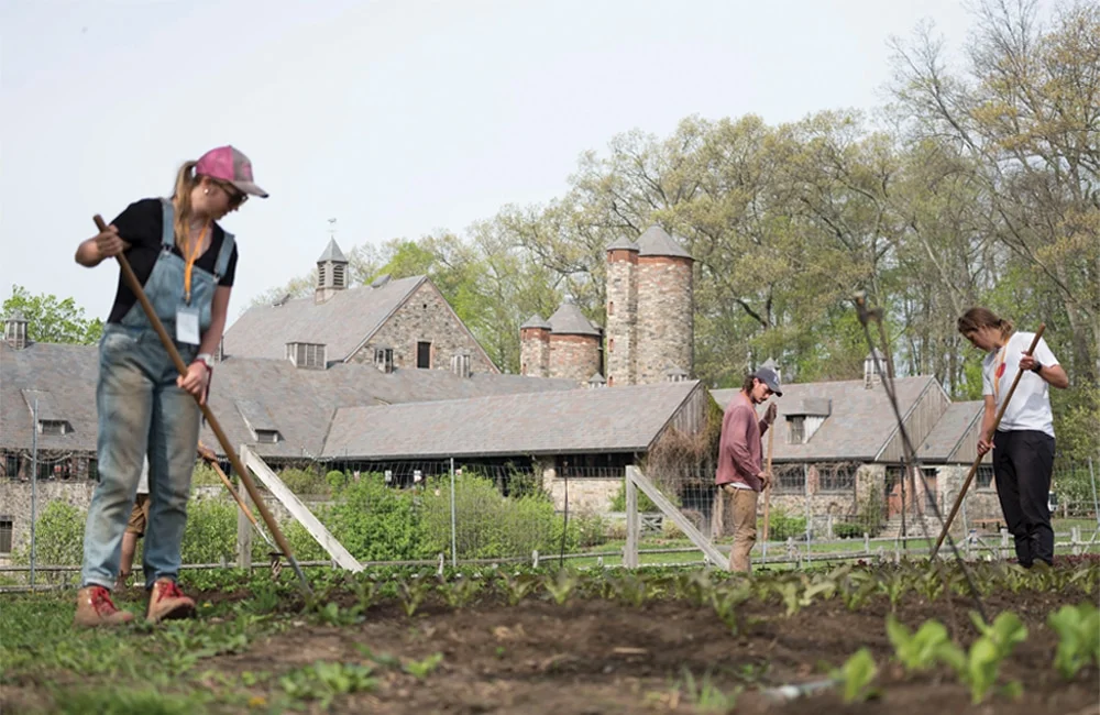 stone-barn-_-ben-hider.jpg