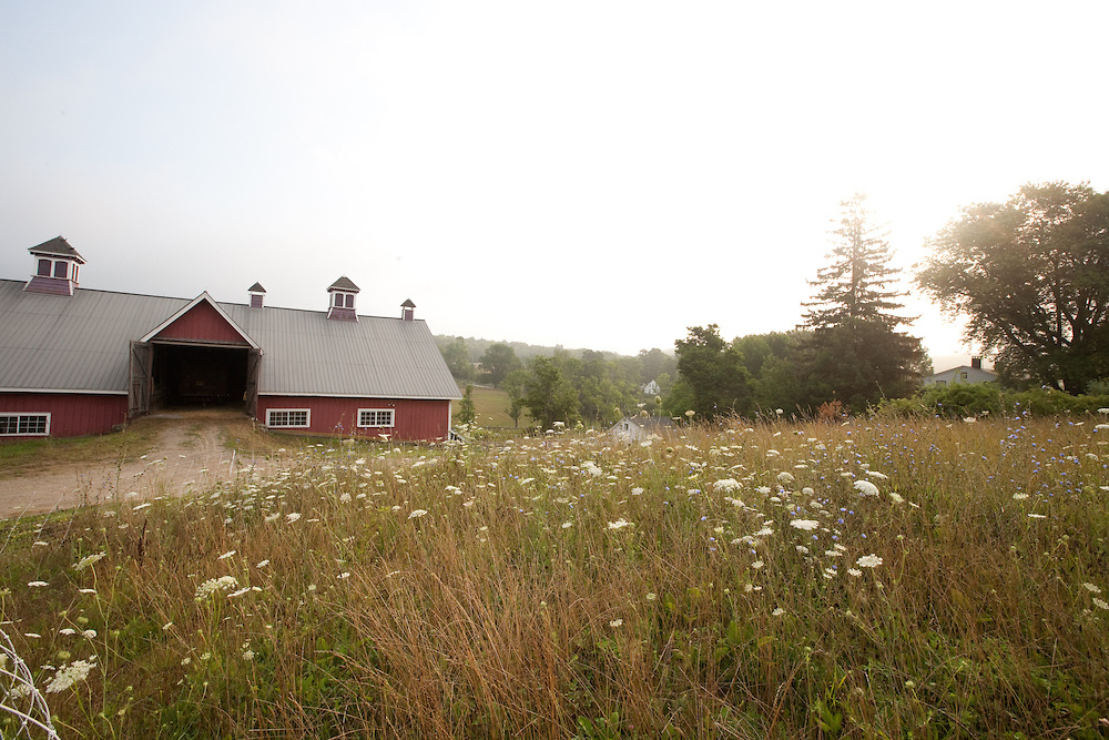 barn and field.jpeg