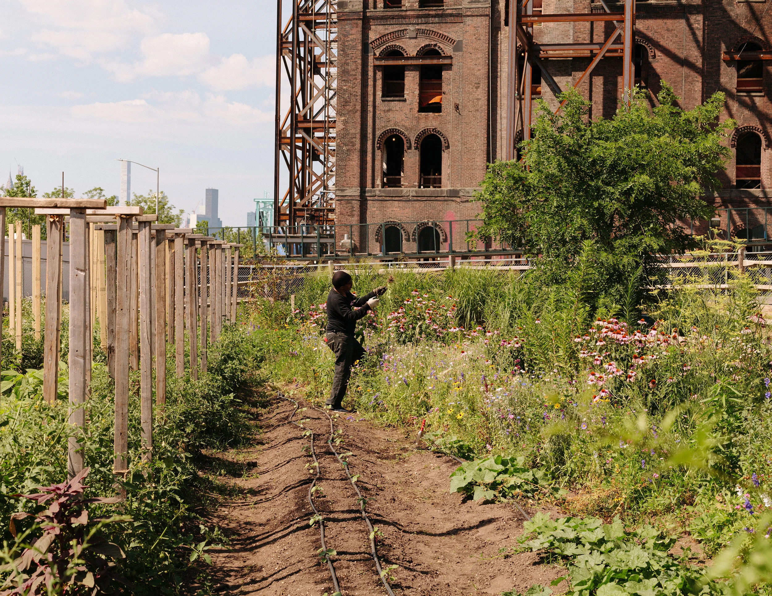 provisions-north-brooklyn-farms-22.jpg